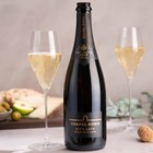 View Chapel Down Kits Coty Blanc de Blancs 2017 Vintage English Sparkling 75cl number 1