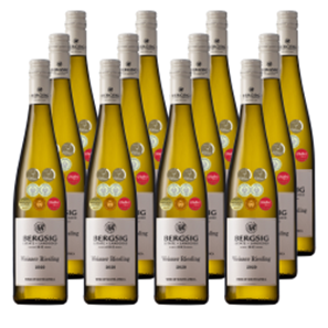 Buy Case of 12 Bergsig Estate Riesling 75cl - White Wine