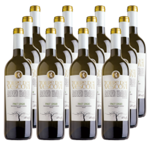 Buy Case of 12 Torre dei Vescovi Pinot Grigio 75cl White Wine