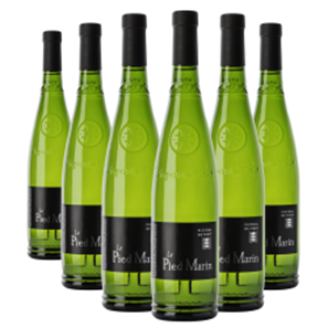 Buy Case of 6 Picpoul de Pinet Le Pied Marin AOC 75cl White Wine